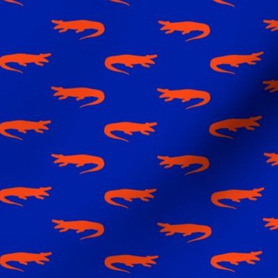 Florida gators orange and blue