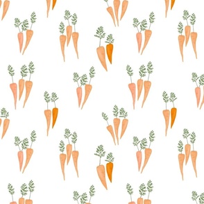 Carrots from the Backyard Garden - on White