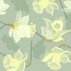 daffodil flowers (olive background)