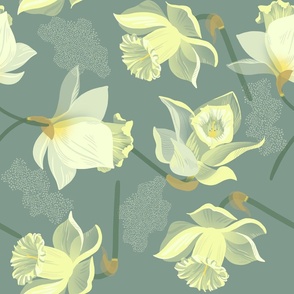 daffodil flowers (green background)