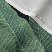 Elegant Rainforest Leaves - medium 