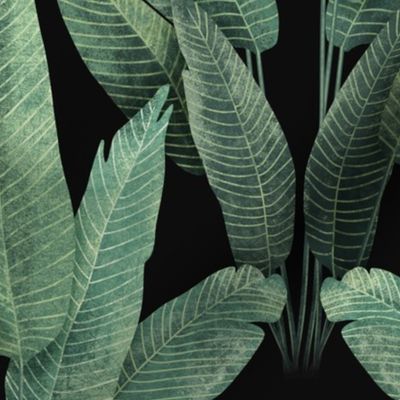 Elegant Rainforest Leaves - medium 