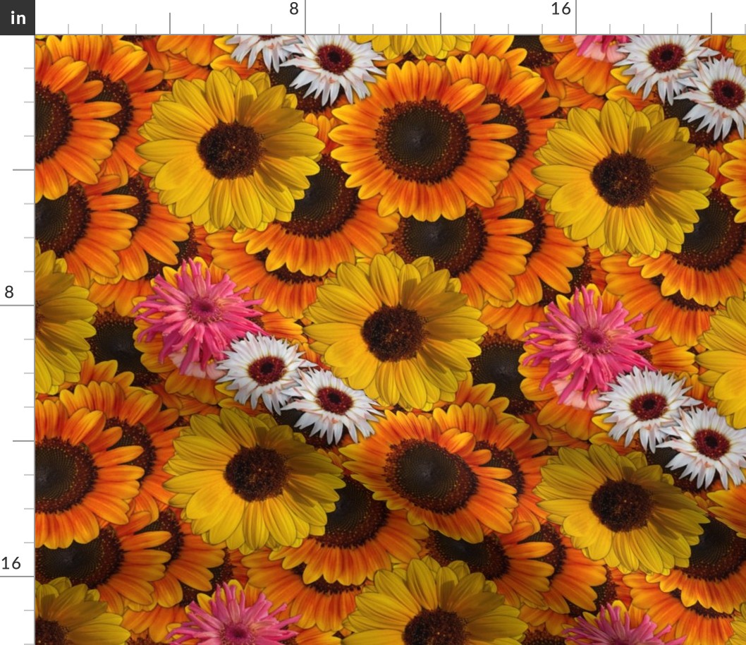 Large Sunflowers, Zinnias, Calendula Flowers