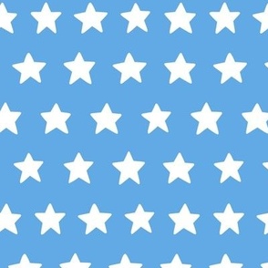 White Stars on Blue (Medium Scale) 