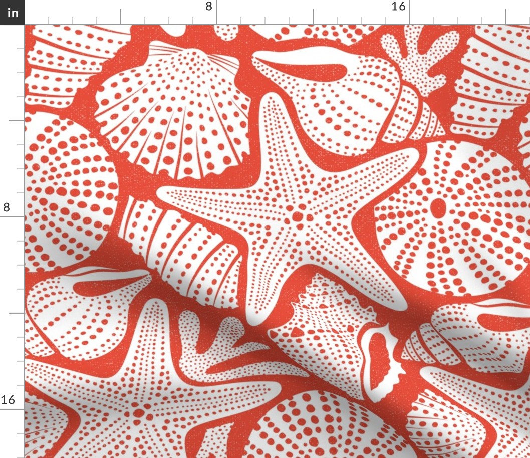 Ocean Floor - Summer Nautical Seashells Red White Large