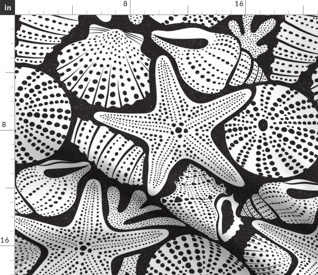 Ocean Floor - Summer Nautical Seashells Black White Large