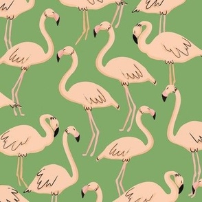 Fun Flamingos - Flock of Flamingos - on Green