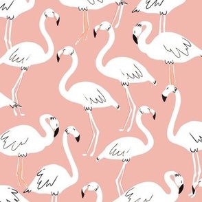 Fun Flamingos - Flock of Flamingos - on Pink