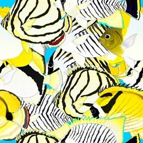 Butterflyfish pattern 3