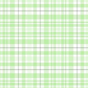 L. Pastel plaid classic geometric tartan in shades of light green on white