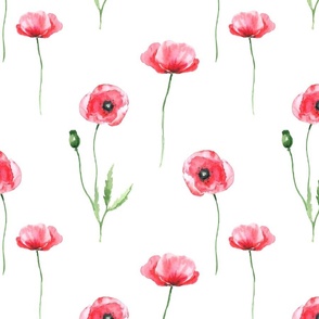 Watercolor poppies
