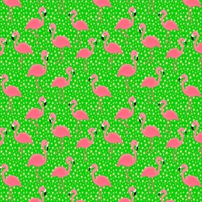 Pink Flamingos and Golden Stars on Bright Green