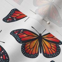 Monarch Butterflies hand painted watercolor