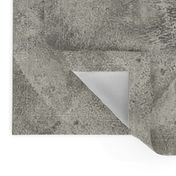 Venetian stucco/Concrete screed texture/natural