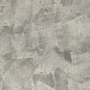 Venetian stucco/Concrete screed texture/natural