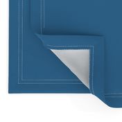 Denim Blue Plain Solid Colour 