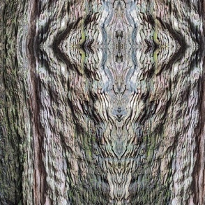 Redwood Texture