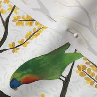 medium - Parrots on the tree - colorful hand-painted birds on white