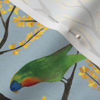 medium - Parrots on the tree - colorful hand-painted watercolor birds on light blue gray