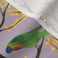 medium - Parrots on the tree - colorful hand-painted watercolor birds on rose quartz light purple