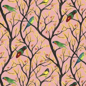 medium - Parrots on the tree - colorful hand-painted watercolor birds on tea rose light pink