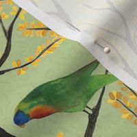 medium - Parrots on the tree - colorful hand-painted watercolor birds on light tea green