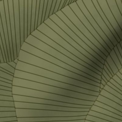 (XL) Wavy Optical Illusion - Sage Green