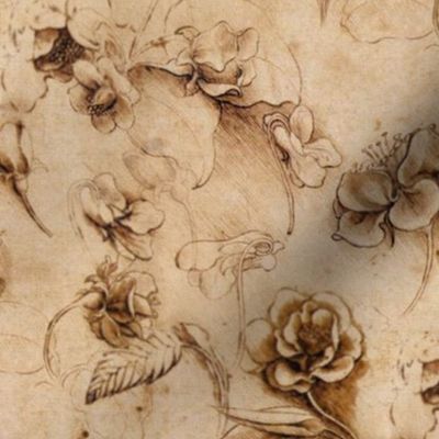 Leonardo da Vinci - Flower Study