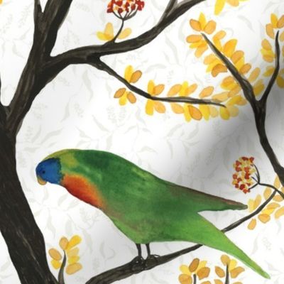 large - Parrots on the tree - colorful hand-painted watercolor birds on white