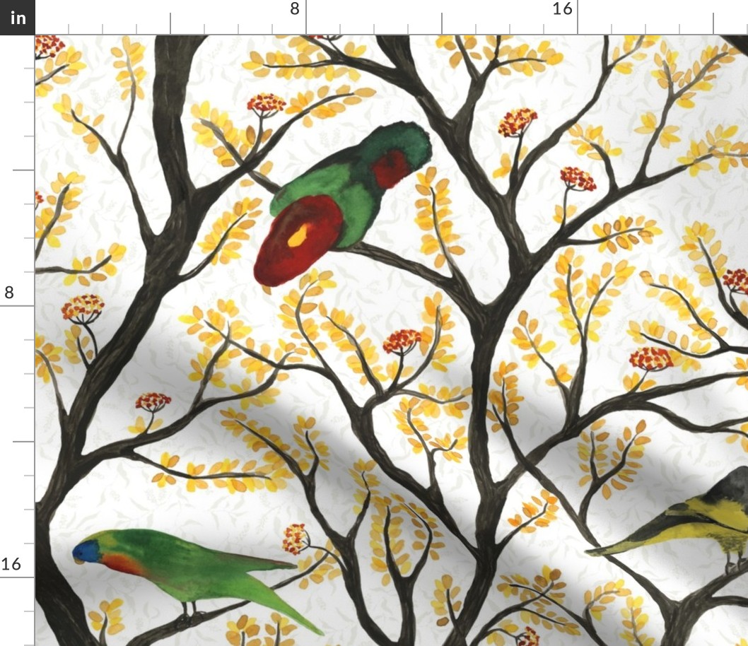 large - Parrots on the tree - colorful hand-painted watercolor birds on white