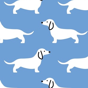 Large Dachshund white on blue