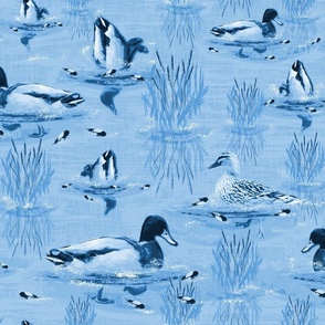 Blue Cabincore Riverside Mallard Ducks, Light Blue Water Ripple Reflections, Modern Animal Illustration, Relaxing Living Room Retreat, Blue Rippling Water Reflections, Contemporary Lake Life Feature Wall, Cottagecore Lakeside Toile de Jouy Wild Duck Theme