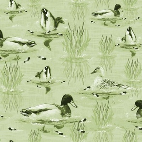 Painted Tranquil Riverbank Lakeside Duck Scene, Painterly Mallard Ducks Swimming, Apple Green Toile de Jouy, Water Reflections, Painted Countryside Living Room Design, Cute Ducks Swimming, Busy Diving Ducklings, Apple Mint Green Monochrome Toile