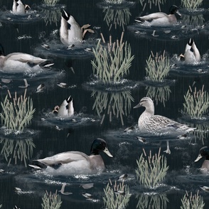 Tranquil Midnight Blue Lakeside Bird Sanctuary, Cute Mallard Ducks Swimming in Dark Blue Water Ripples, Cattail Grasses Pond, Bird Feathers, Modern Painterly Design for a Calming Living Room Feature Wall Lakeside Paradise, Textured Brushstrokes Cabincore 