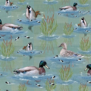 Relaxing Serene Blue Lakeside Escape, Diving Mallard Ducks Swimming, Aquamarine Blue Riverside Waters, Cattails Swaying in Breeze, Modern Painterly Design, Tranquil Bathroom Retreat, Diving Mallard Ducks, Bottoms Up Ducks, Teal Green, Blue Green Plaid