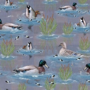 Bottoms Up Swimming Ducks, Painted Lake Life Plaid Texture, Country Cabincore Lakeside Living, Mallard Ducks Tranquil Lakeside, Light Blue Water Reflections, Cattails Bull Rush Grasses, Painterly Countryside Living Room Inspiration, Light Mauve Sea Blue