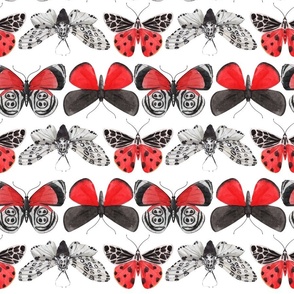 Red Butterflies Repeat