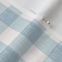 ballerina gingham blue_1in 