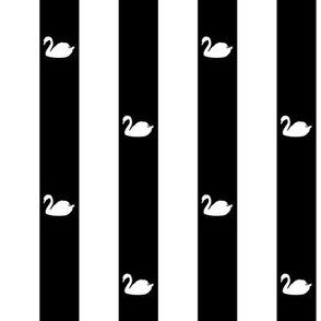 black-and-white-25mm-stripes-white-swan