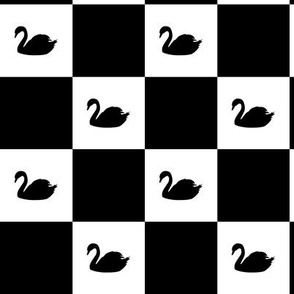 checkered-black-swan