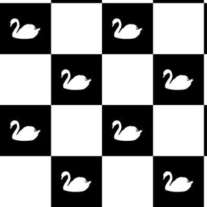 checkered-white-swan