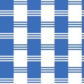 Broken Stripe 2 in White and Blue