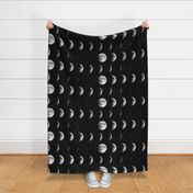 Eclipse (black and white large scale fabric)  