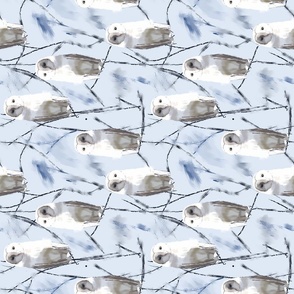Majestic Winter - White Owl Design - Rotated