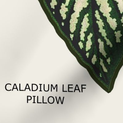 CALADIUM LEAF PILLOW