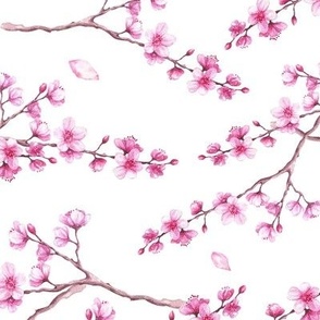 watercolor cherry blossoms