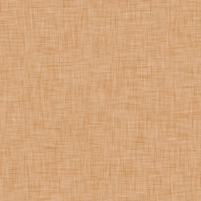 linen textured peachy canvas