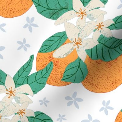 Cream and White Orange Blossoms and Oranges with Green Leaves on Stone Textured Background Bright Colorful Citrus Flowers -  White