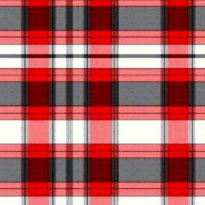 red grey check