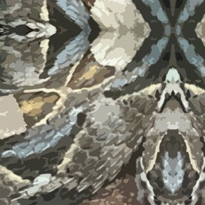 Snake Print - Gaboon Viper